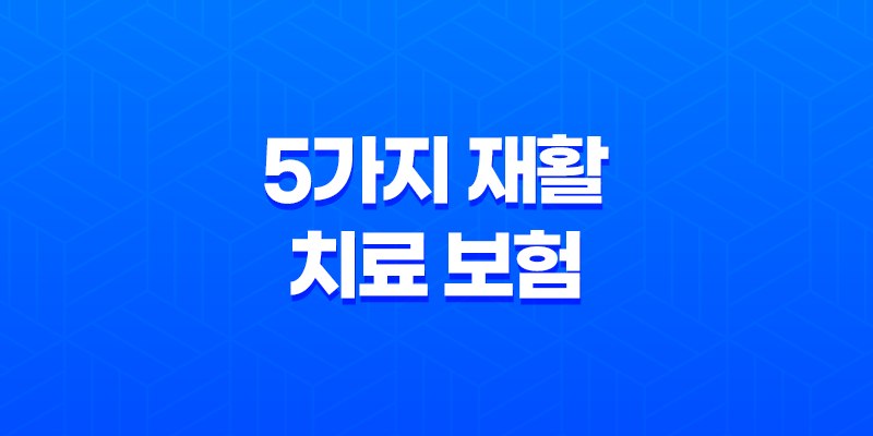 5가지 재활 치료 보험 - 사고와 질병 후 재활 지원 가이드 8 5가지 재활 치료 보험 - 사고와 질병 후 재활 지원 가이드 7
