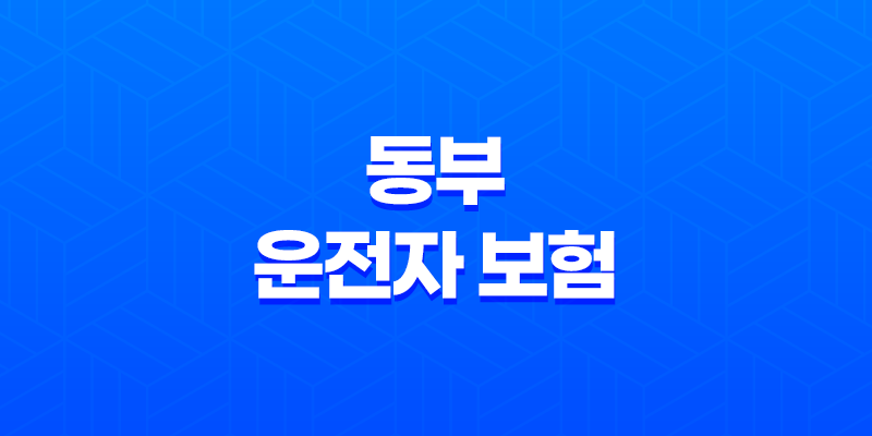 동부 운전자 보험 - 2025년 최신 정보와 가입 혜택 완벽 분석 7