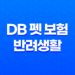 2025년 DB 펫 보험 반려생활 - DB 펫 보험의 모든 것 파헤치기 11