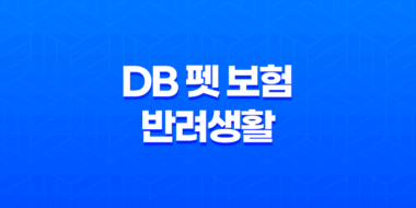 2025년 DB 펫 보험 반려생활 - DB 펫 보험의 모든 것 파헤치기 45