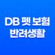 2025년 DB 펫 보험 반려생활 - DB 펫 보험의 모든 것 파헤치기 35