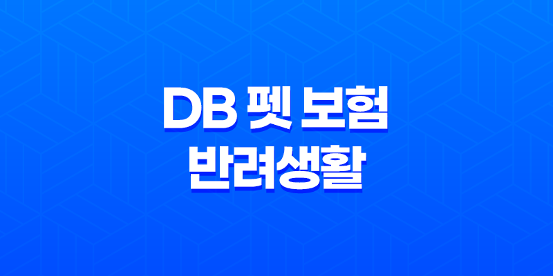 2025년 DB 펫 보험 반려생활 - DB 펫 보험의 모든 것 파헤치기 7