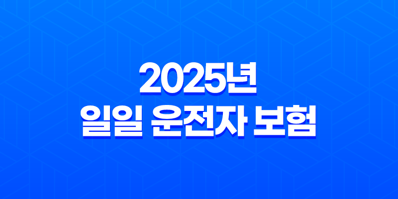 2025년 일일 운전자 보험 : 10가지 핵심 정보와 가격 비교 - 완벽 가이드 8 2025년 일일 운전자 보험 : 10가지 핵심 정보와 가격 비교 - 완벽 가이드 7