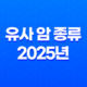 유사 암 종류 2025년 - 완벽 정리 및 가이드 - 소액암과의 차이점은? 21