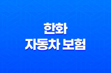 한화 자동차 보험 - 2025년 최신 정보와 가입 꿀팁, 완벽 분석! 7