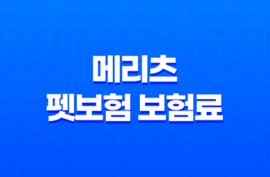 2025년 메리츠 펫보험 보험료 상세 분석과 후기 비교 31