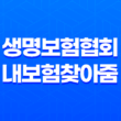 보험료를 한 눈에! 생명보험협회 내보험찾아줌 소개 13