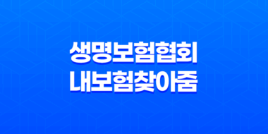 보험료를 한 눈에! 생명보험협회 내보험찾아줌 소개 37