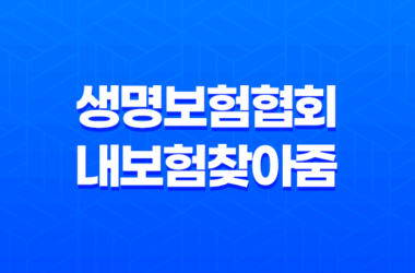 보험료를 한 눈에! 생명보험협회 내보험찾아줌 소개 29