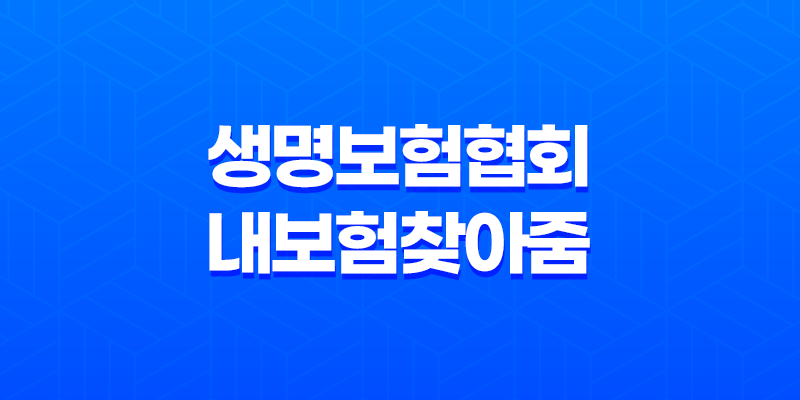 보험료를 한 눈에! 생명보험협회 내보험찾아줌 소개 8 보험료를 한 눈에! 생명보험협회 내보험찾아줌 소개 7