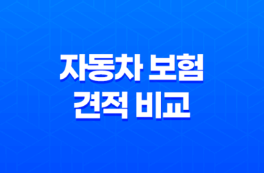 2025년 자동차 보험 견적 비교 - 100만원 절약하는 방법 23