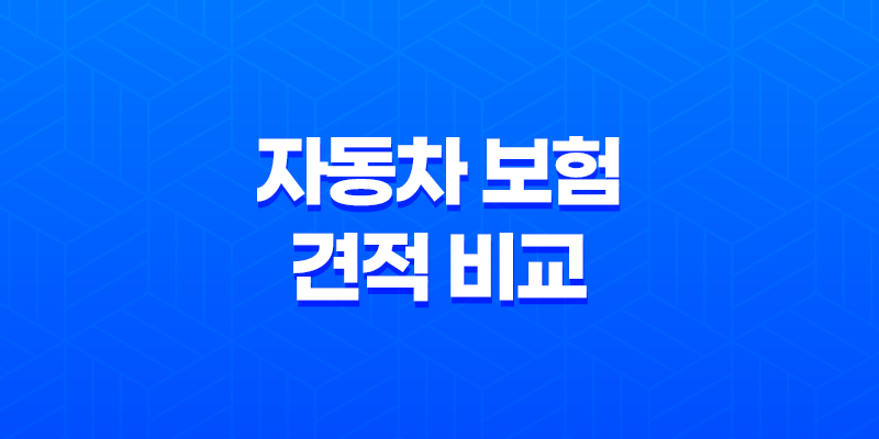 2025년 자동차 보험 견적 비교 - 100만원 절약하는 방법 7
