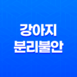 강아지 분리불안 해소를 위한 장난감 추천 리스트 13