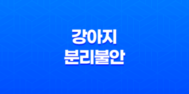 강아지 분리불안 해소를 위한 장난감 추천 리스트 67