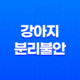 강아지 분리불안 해소를 위한 장난감 추천 리스트 15
