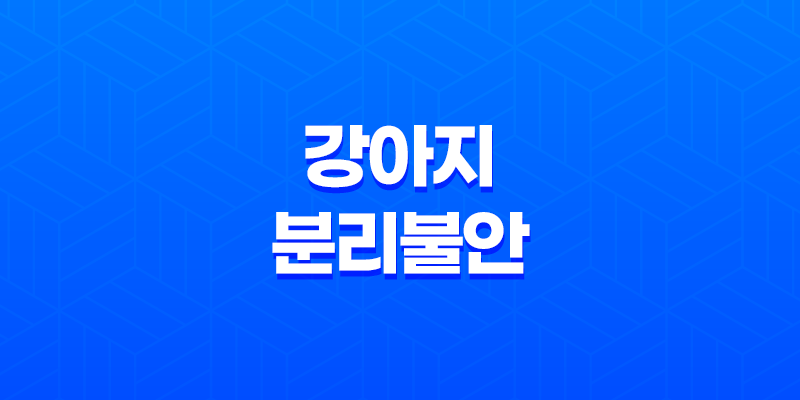 강아지 분리불안 해소를 위한 장난감 추천 리스트 8 강아지 분리불안 해소를 위한 장난감 추천 리스트 7