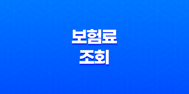 보험료 조회 : 2025년 꼭 알아야 할 모든 것 - 종류, 방법, 이벤트, 주의사항 총정리 7
