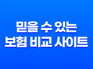 믿을 수 있는 보험 비교 사이트, 시간과 비용 절약의 지름길 17