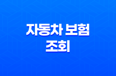자동차 보험 조회 - 2025년 최신 정보와 가이드 : 나에게 맞는 보험 찾기 23
