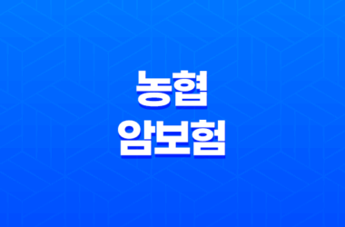 농협 암보험 - 최적의 설계와 가격비교 33