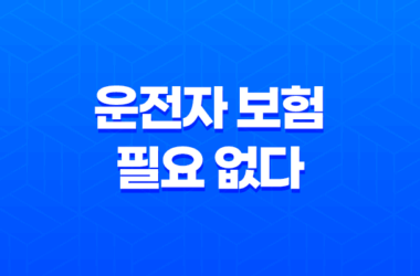 운전자 보험 필요 없다 - 2025년 최신 정보 및 가입 전 필수 확인 사항 19