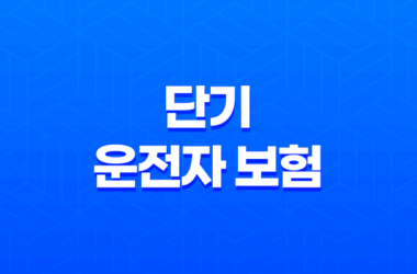 단기 운전자 보험 - 2025년 1일, 당일, 가격, 디시, 취소, 비교, 추천, 방법, DB, 동부화재 총정리 27