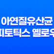 아연질유산균 피토틱스 옐로우, 여성 건강과 면역력을 동시에 관리하는 제품 23