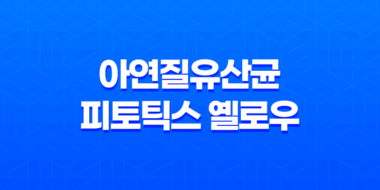 아연질유산균 피토틱스 옐로우, 여성 건강과 면역력을 동시에 관리하는 제품 45