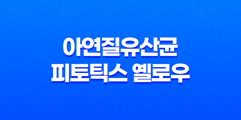 아연질유산균 피토틱스 옐로우, 여성 건강과 면역력을 동시에 관리하는 제품 8 아연질유산균 피토틱스 옐로우, 여성 건강과 면역력을 동시에 관리하는 제품 7