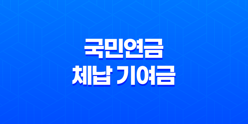국민연금 체납 기여금 보험료 개별납부 방법 총정리 8 국민연금 체납 기여금 보험료 개별납부 방법 총정리 7