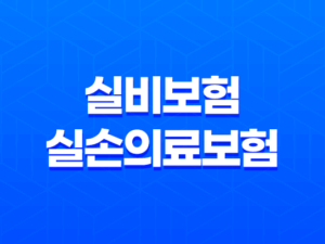 실비보험 실손의료보험 청구 비밀 공개! 보험금 받는 법과 유용한 정보(2023년) 23