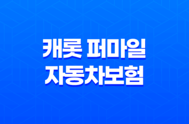 캐롯 퍼마일 자동차보험 장점, 보험료, 가격, 할인혜택 (2023년) 21