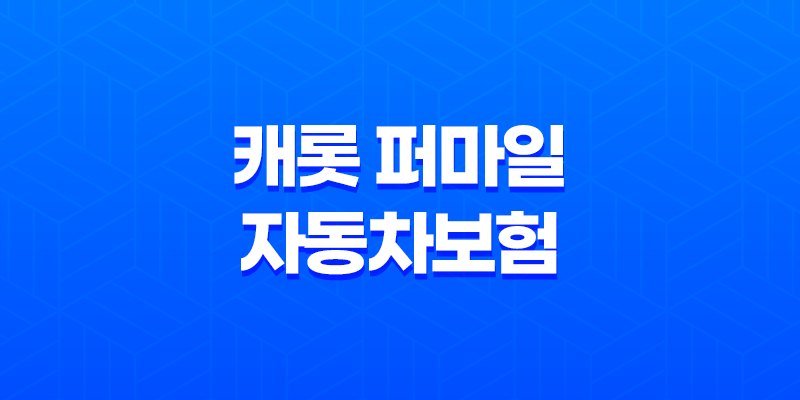 캐롯 퍼마일 자동차보험 장점, 보험료, 가격, 할인혜택 (2023년) 8 캐롯 퍼마일 자동차보험 장점, 보험료, 가격, 할인혜택 (2023년) 7