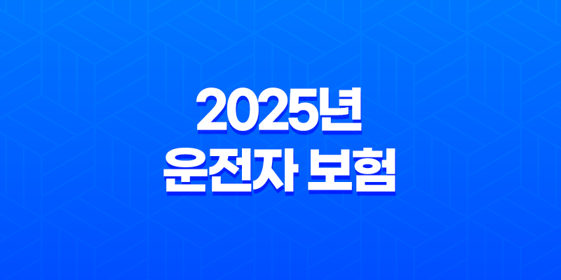 2025년 운전자 보험 디시에서 난리난 꿀팁 총정리: 핵심만 쏙쏙 뽑아 가입하는 방법 8 2025년 운전자 보험 디시에서 난리난 꿀팁 총정리: 핵심만 쏙쏙 뽑아 가입하는 방법 7