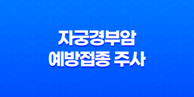 가다실 9이란 자궁경부암 예방접종 주사 21