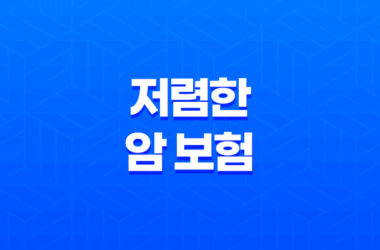 저렴한 암 보험 - 2025년 현명한 선택을 위한 10가지 꿀팁과 가성비 비교! 29