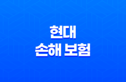 현대 손해 보험 - 2025년 꼭 알아야 할 정보와 꿀팁 : 채용, 상품 분석, 다른 회사 비교 73