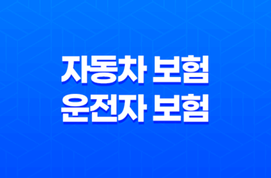 자동차 보험 운전자 보험 : 2025년 최신 정보와 현명한 선택 가이드 11