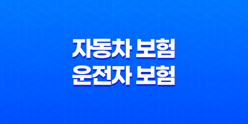 자동차 보험 운전자 보험 : 2025년 최신 정보와 현명한 선택 가이드 8 자동차 보험 운전자 보험 : 2025년 최신 정보와 현명한 선택 가이드 7