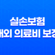 10가지 핵심 정보: 실손보험, 해외 의료비 보장과 주의사항 11