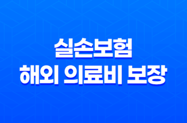 10가지 핵심 정보: 실손보험, 해외 의료비 보장과 주의사항 21