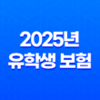 유학생 보험 - 2025년 유학생 보험 완벽 가이드 : 종류, 추천, 비교, 가입, 혜택 총정리 11