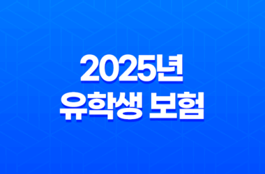유학생 보험 - 2025년 유학생 보험 완벽 가이드 : 종류, 추천, 비교, 가입, 혜택 총정리 9