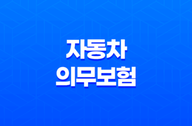 자동차 의무보험 가입방법 및 차량 이력 확인 21