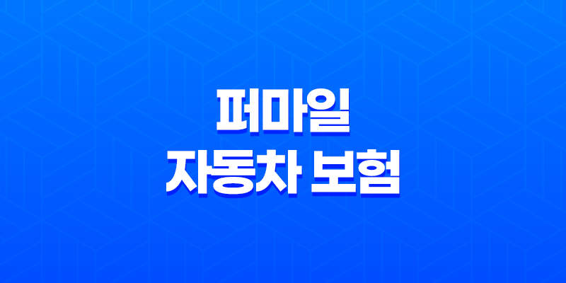 퍼마일 자동차 보험 - 2024년 버전 최신 가이드 8 퍼마일 자동차 보험 - 2024년 버전 최신 가이드 7