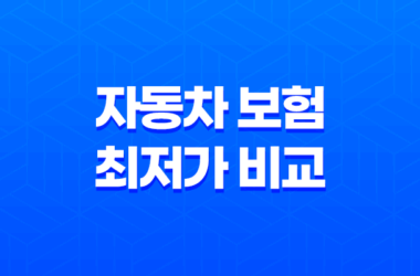 2025년 자동차 보험 최저가 비교 - 다이렉트 자동차보험 최초 가입 완벽 가이드 11