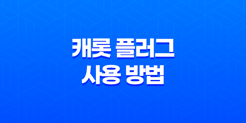 캐롯 플러그 사용 방법 및 가격 정보, 분실 대처방법 8 캐롯 플러그 사용 방법 및 가격 정보, 분실 대처방법 7