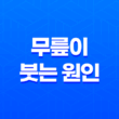 무릎이 붓는 원인과 해결방법 13