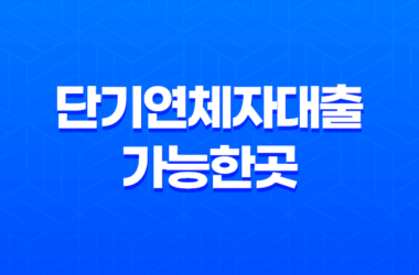 단기연체자대출 가능한곳 조건과 방법, 장기연체자 되기 전 방법 13