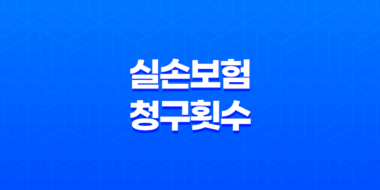 실손보험 청구 횟수, 과연 보험료 인상의 주범일까? 진실 파헤치기 37
